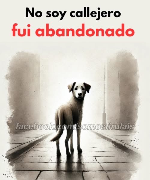 mayumiguillen's tweet photo. No son callejeros... simplemente confiaron en quienes dijeron que los amaban 🥹🐾 ¡No al abandono‼️ https://t.co/DKv6RLXYZJ