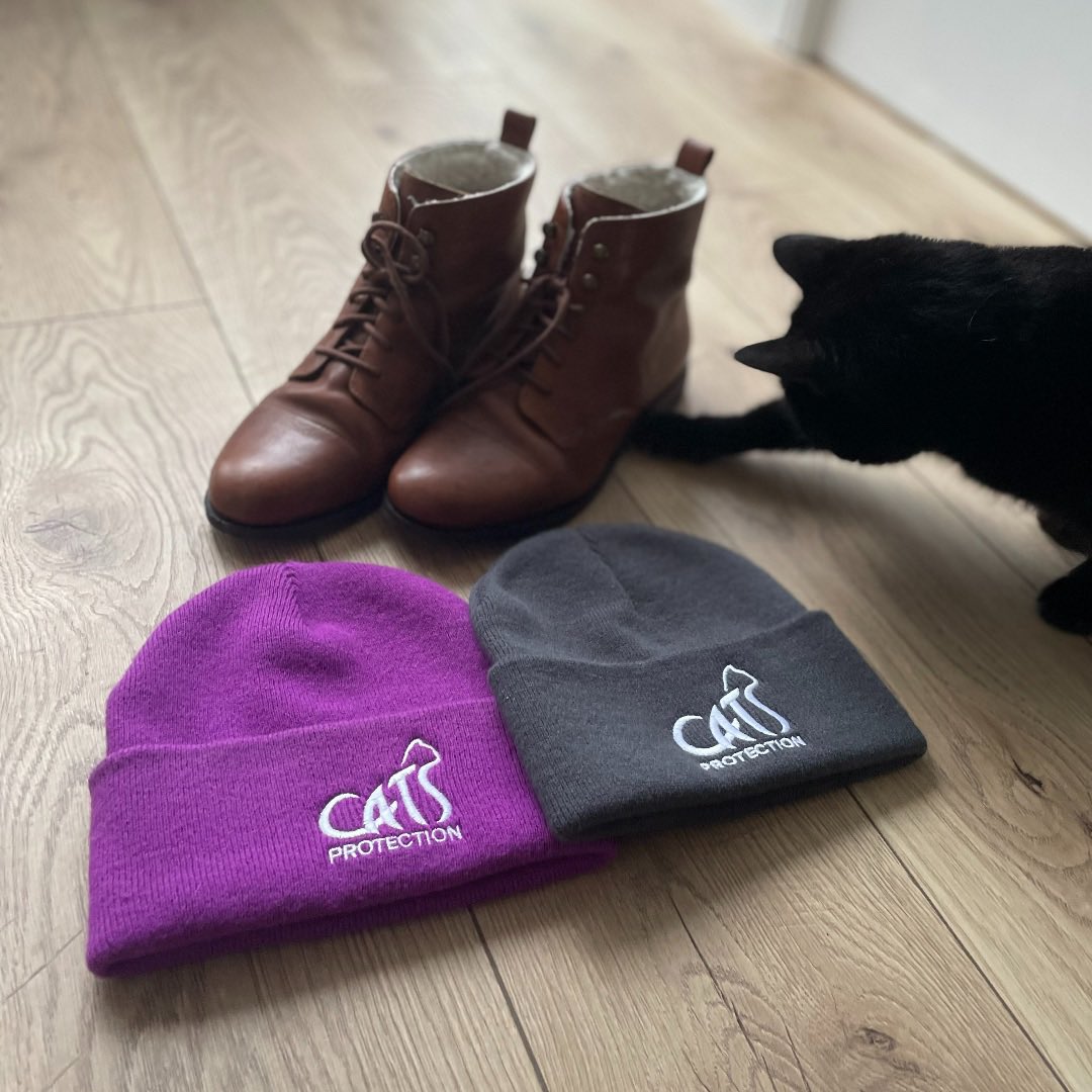 Chiltern CP tweet media