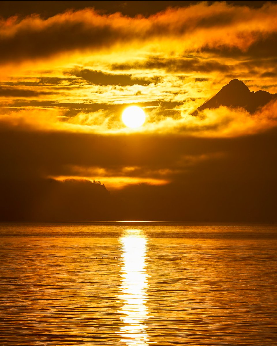 The breathtaking hues of an Alaskan sunset and the vastness of this magnificent landscape invite you to take a moment and truly immerse yourself. There's a world of beauty waiting to be discovered out there! 

Thanks to @Uncruise for taking us on this incredible Alaskan