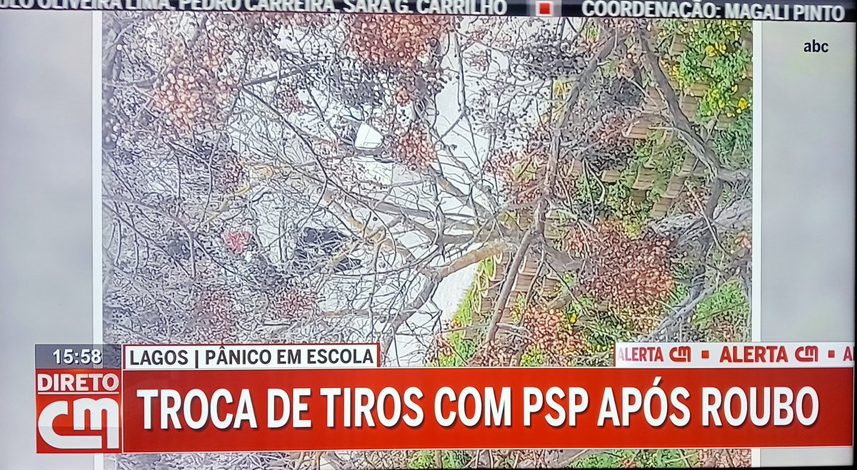 🚨Ultima hora!💣
🇵🇹Algarve/Lagos- Gang armado invade escola primária aos tiros. Há um ferido grave.
