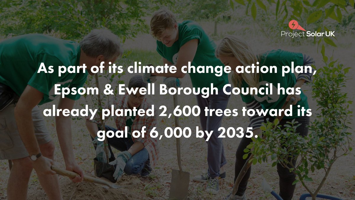 ProjectSolarBE's tweet image. Tree planting success and a butterfly boom! 🦋

Kick off your weekend with our weekly dose of uplifting environmental news!

#WeeklyWins #ProjectSolar