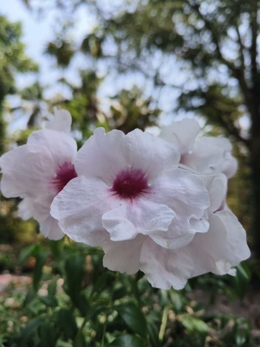 Anilkumar (@anilkumaarts) on Twitter photo 