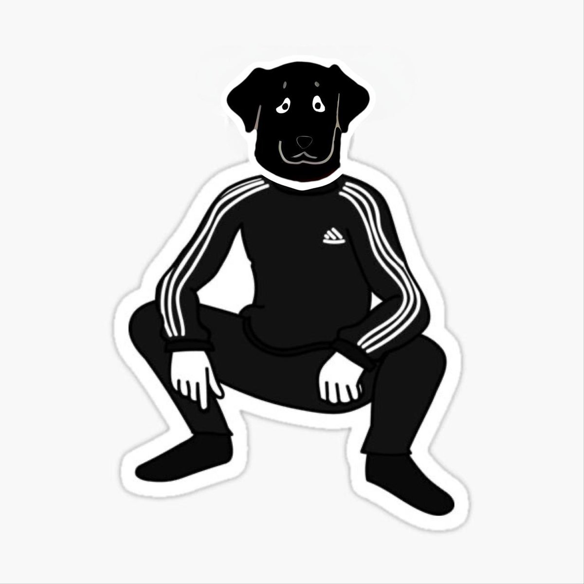 #dogknewit $DKI #bitcoin #elonmusk $SOL #dog #cryptocurrency #memcoin #adidas