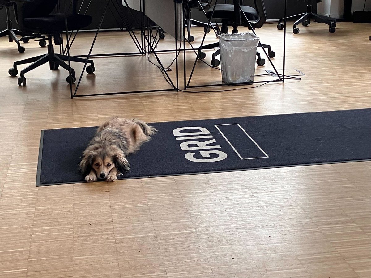 GRIDesports's tweet photo. 𝗔 𝗱𝗮𝘆 𝗮𝘁 𝗚𝗥𝗜𝗗 
Esports, data, and the occasional office dog - what more do you need? 🐾
#GRIDesports #dog #esportsdata https://t.co/QDmWXlYPsU