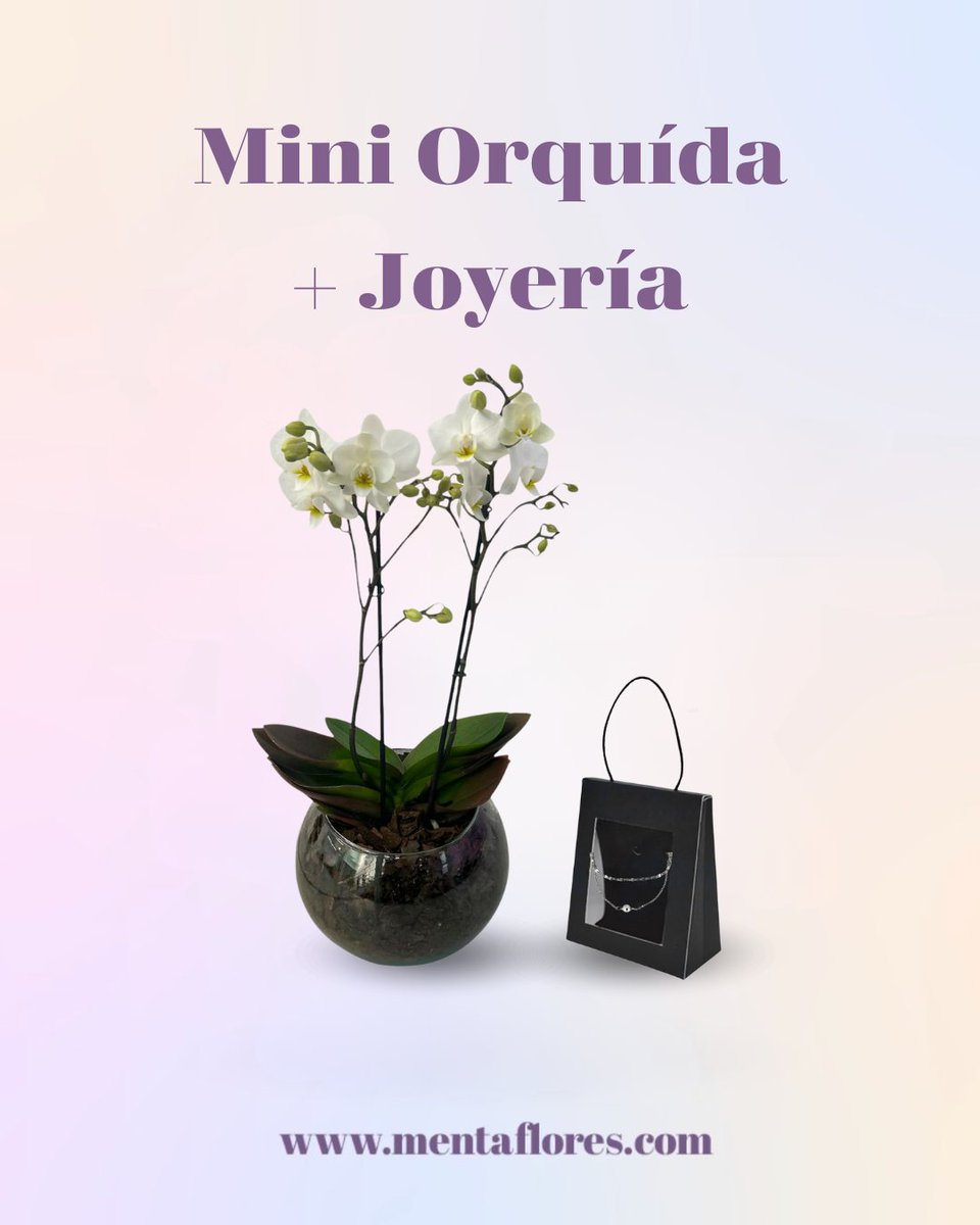 mentaflores's tweet photo. Mini orquídea + Joyería 💎
¡Crea el regalo perfecto, entra a Menta Flores y descubre todas las opciones que tenemos para ti! https://t.co/cloIZ4qAVH