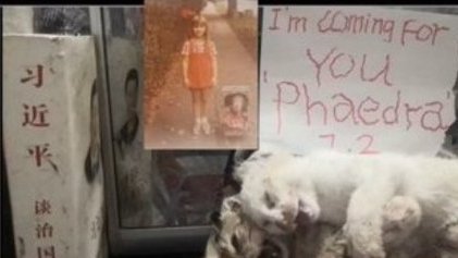 PhaedraXTeddy's tweet photo. My complaint in text below was because even though I am vegan I am mass auto blocked by a certain large faction of "vegans" and also by some other groups. Why block the message of animals who can not speak? They need all the voices they can get! Childish. https://t.co/tPO0kLui0s