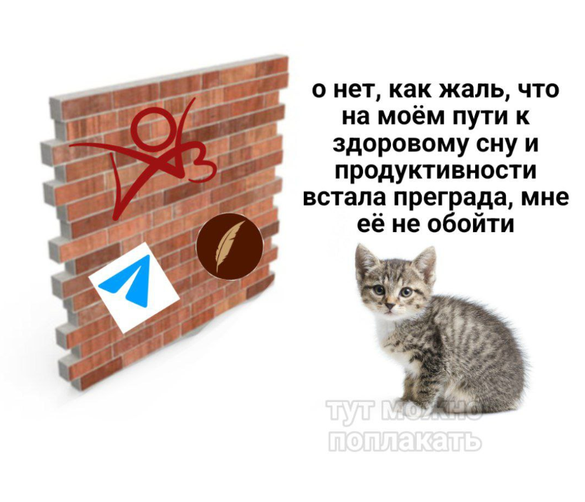 ConnardDino's tweet photo. Мы или не мы, котята? https://t.co/HtWYSYI5fO