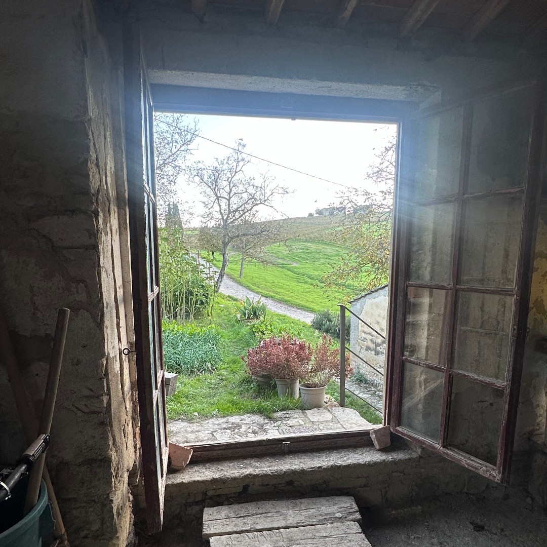 CofC Study Abroad tweet media