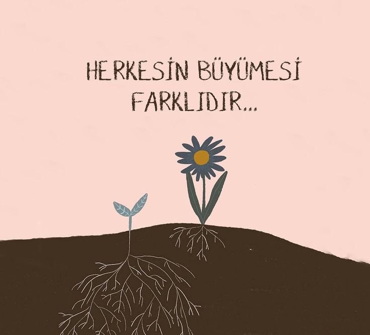 ayaserenat's tweet photo. https://t.co/1JgXlyIZ5X