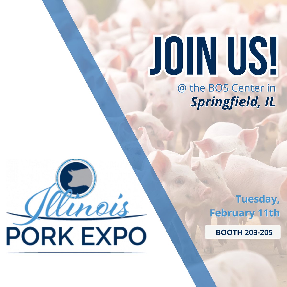 Farmweld1's tweet photo. We’re SO EXCITED! To be headed to the 2025 @illinoispork Expo next Tuesday! 

Join us for a FULL DAY as pork producers and businesses come together in one centralized location 🤩

#porkindustry #porkexpo #farmweld #tradeshow #pigfarmers https://t.co/ilftXsXp7j