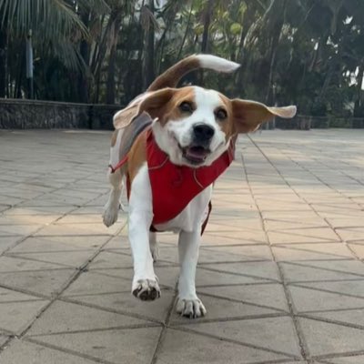 Yodatheunwise's tweet photo. #NewProfilePic https://t.co/7PP1lCkXeX