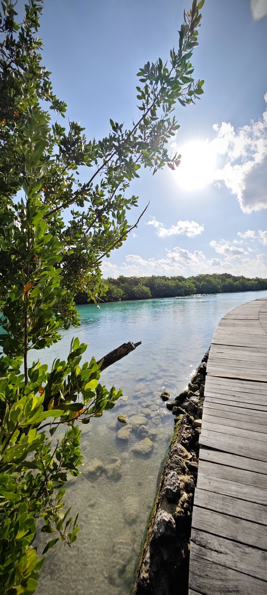Ozkar Orozco (@orozcoozkar) on Twitter photo Buen día que tengan excelente fin de semana
<a href="/VivoEnCancun/">Vivo en Cancún 🏖️</a> <a href="/VivoEnIslaM/">Vivo en Isla Mujeres</a> <a href="/VivoEnPlayaDC/">Vivo en Playa del Carmen</a> <a href="/VivoEnPtMorelos/">Vivo en Puerto Morelos</a> <a href="/caribemex/">El Caribe Mexicano</a> Buen día que tengan excelente fin de semana
<a href="/VivoEnCancun/">Vivo en Cancún 🏖️</a> <a href="/VivoEnIslaM/">Vivo en Isla Mujeres</a> <a href="/VivoEnPlayaDC/">Vivo en Playa del Carmen</a> <a href="/VivoEnPtMorelos/">Vivo en Puerto Morelos</a> <a href="/caribemex/">El Caribe Mexicano</a>
