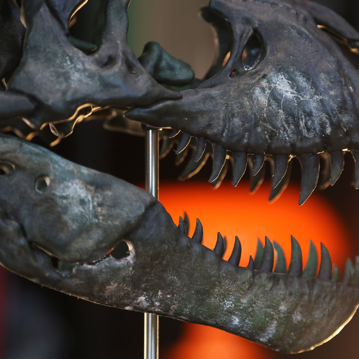 CuratedStudio tweet media