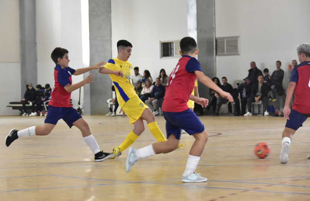 Fútbol sala: El derbi @SanFernandoFS - <a href="/cdpastora1966/">CD Pastora 1966</a> se celebra este sábado a las 20:30 horas en el pabellón Manuel Prado de Bahía Sur y el Cadista de la Isla es líder en solitario en la Primera Andaluza infantil.
deportedelaisla.com/2025-02-07/fut…