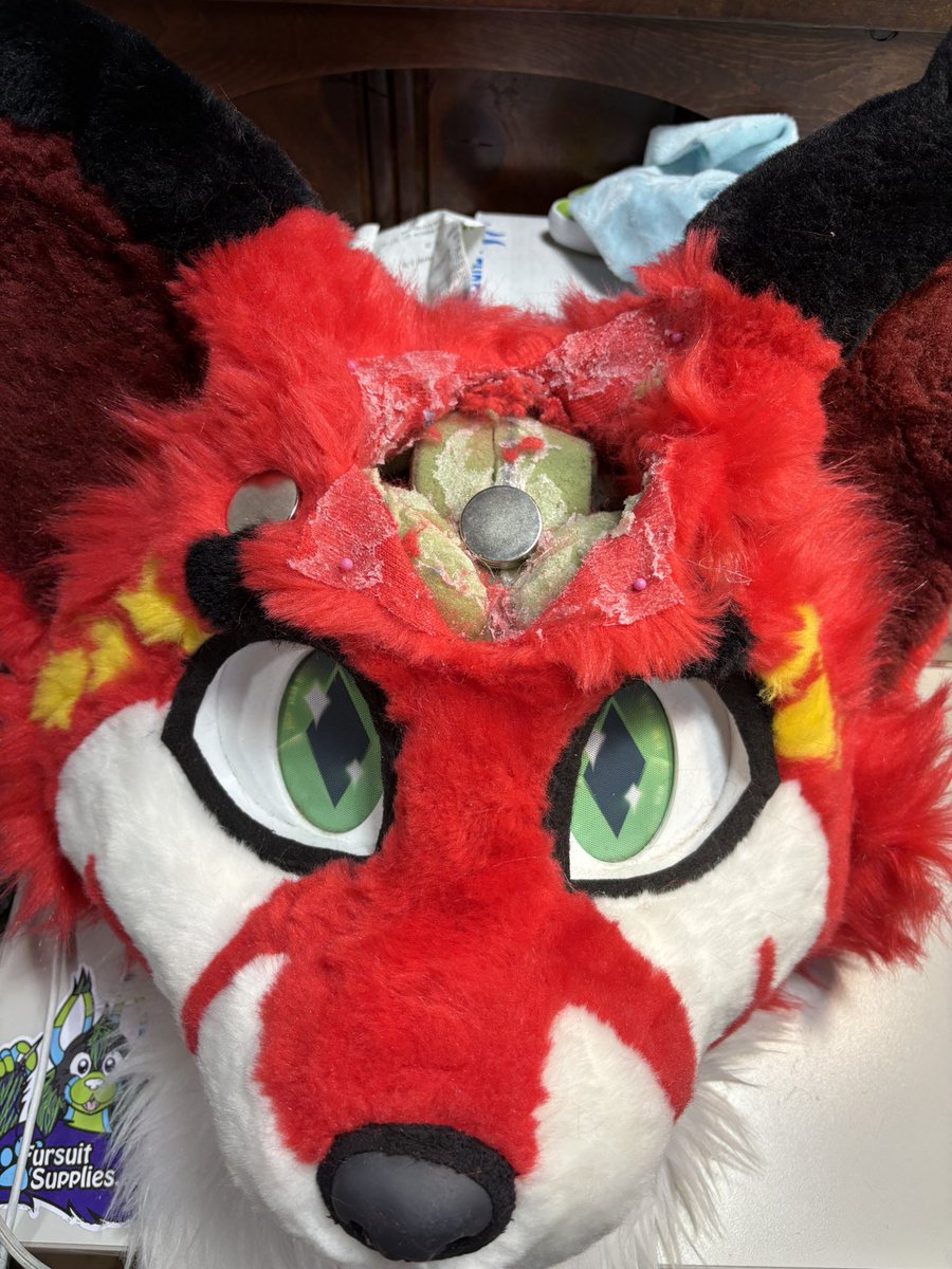 Saffron Okazaki tweet media