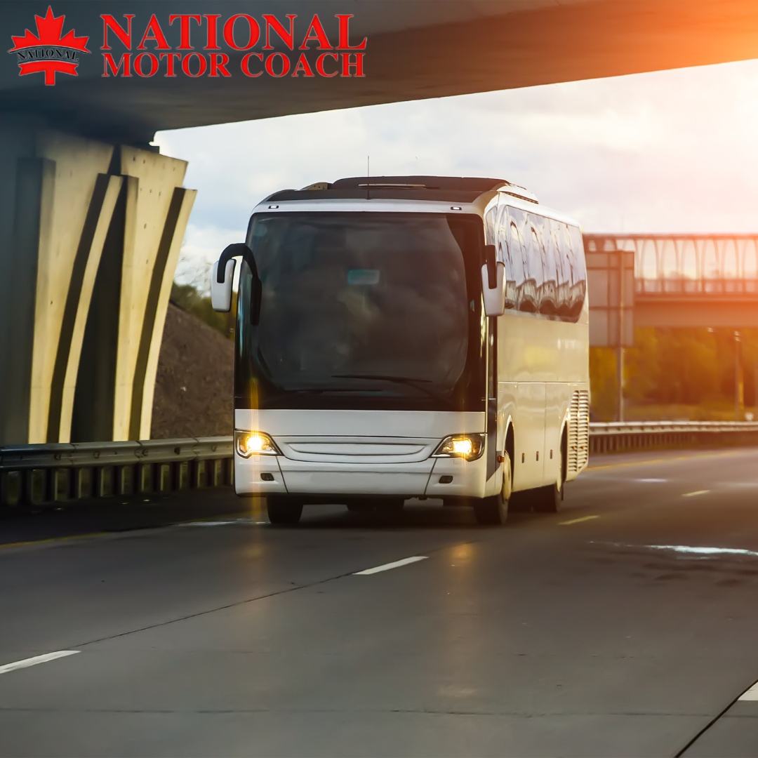 Every journey starts with a reliable ride. Let #NationalMotorCoach handle the transportation so you can focus on the destination. 🚌

🌐 nationalmotorcoach.com
.
.
.
#TransportationServices #Calgary #Banff #Edmonton #Richmond #BusCharter #PrivateBusCharter #CharterServices #T...