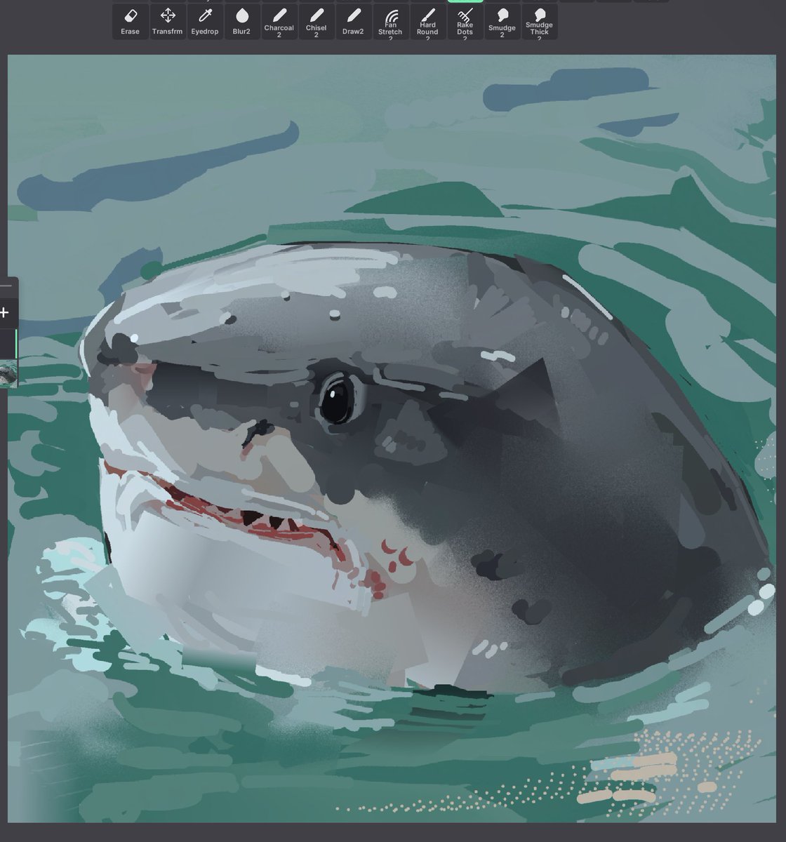 fish february day 7: shark. a very loose doodle but I like it