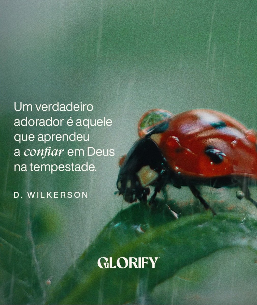 DestemidosdeD's tweet photo. Boa Noite!!
#adorador https://t.co/zGRFheg8yz