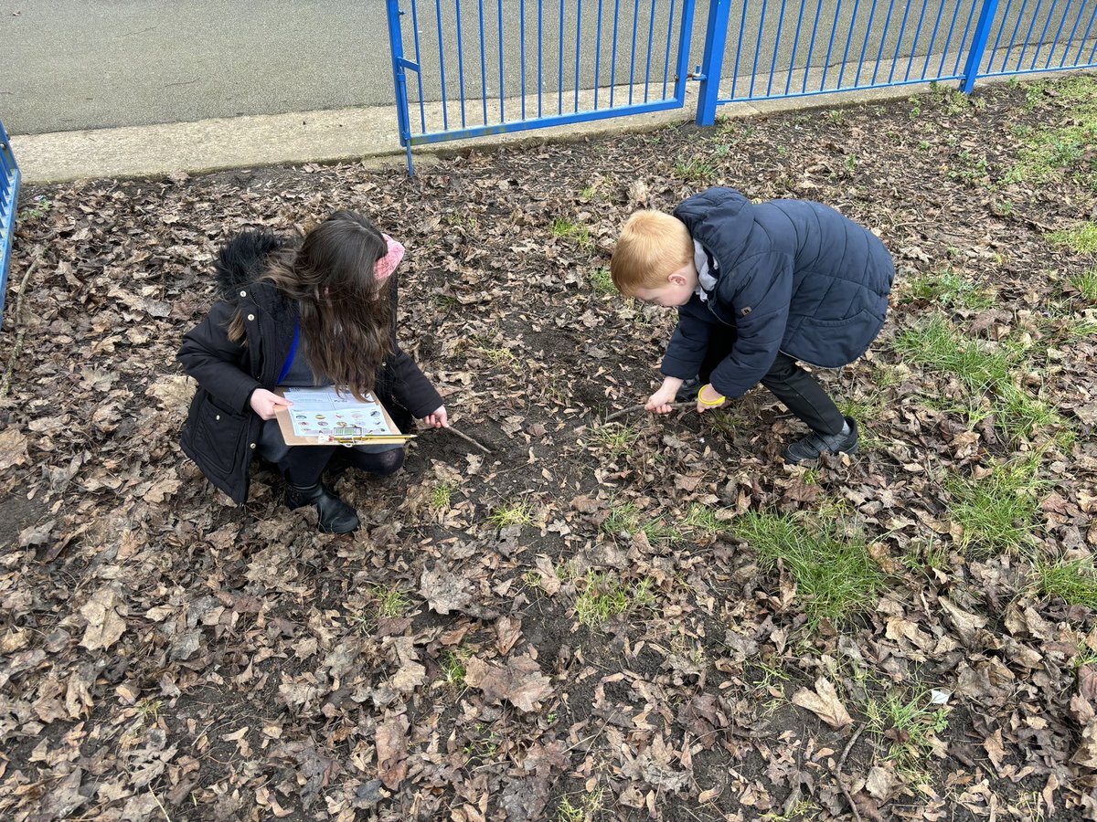 latimerprimary's tweet image. #ClassMN enjoyed taking our science learning outdoors this week. We found some micro-habitats on the school grounds that housed plenty of minibeasts! 🐛📋🌎 #LatimerGeography #Year2