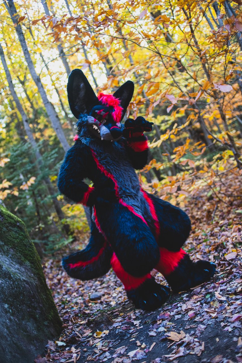 Agrougrou i'm a bad big wolf~ 

📸: Ixil
🧶: <a href="/MoreFurLess/">More Fur Less</a> 
#FursuitsFriday