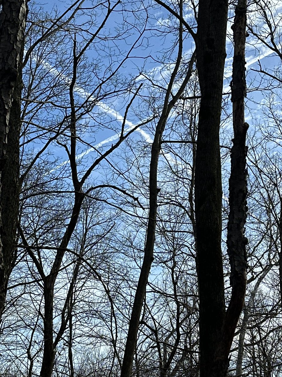 SunsetRider18's tweet image. Nope. They actually ramped it up. It’s chem trails all day, everyday