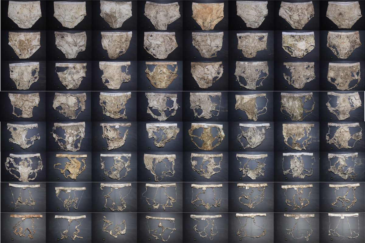 Why are farmers burying underwear in their fields? 

Keren Reichler, Rice Anthropology PhD Candidate, recently published an article in <a href="/limn_press/">Limn</a>, exploring the theme of obsolescence through an unlikely tool that farmers use to get intimate with their soils.