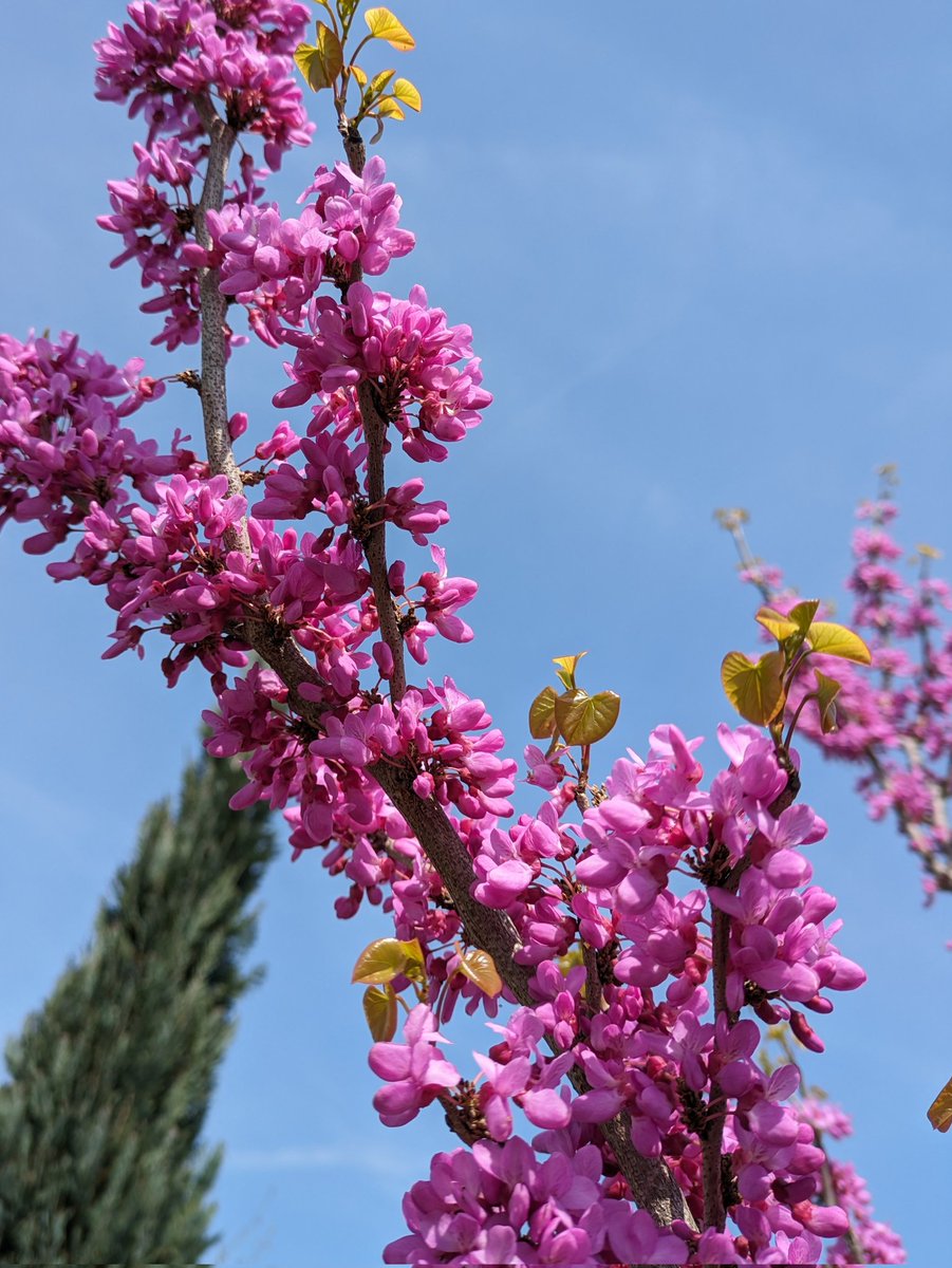 モッピーページ ポイ活するならモッピー｜ポイントサイトの副業で副収入・お