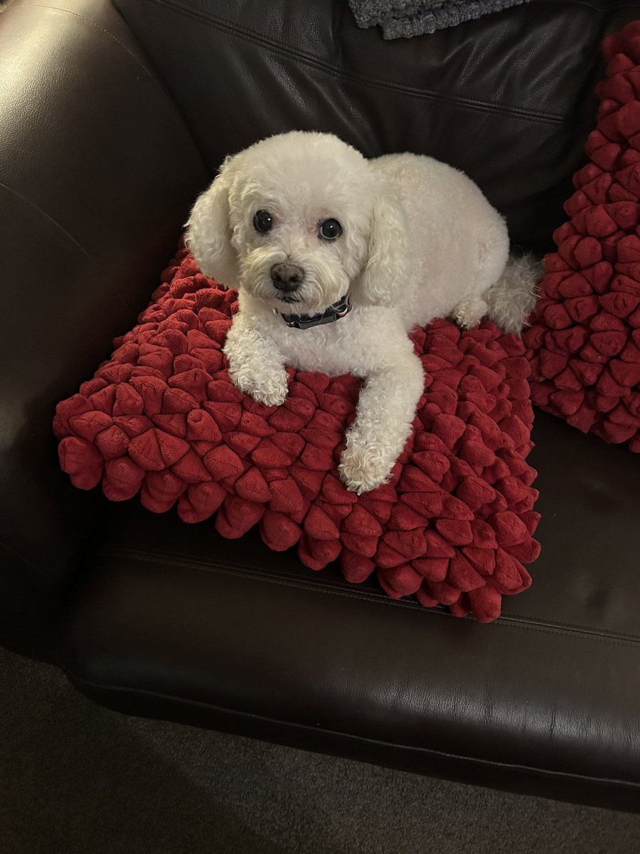 Good evening all from princess