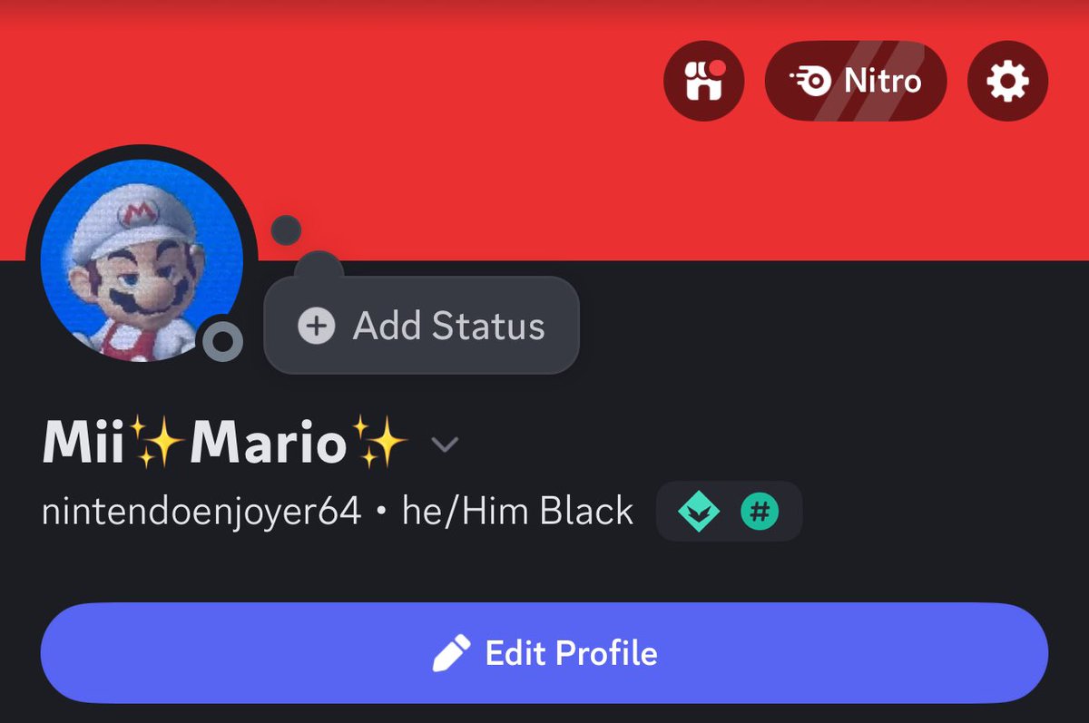 Mii_Mario64's tweet image. New pinned tweet, in case Twitter does hit rock bottom, y’all know where to find me