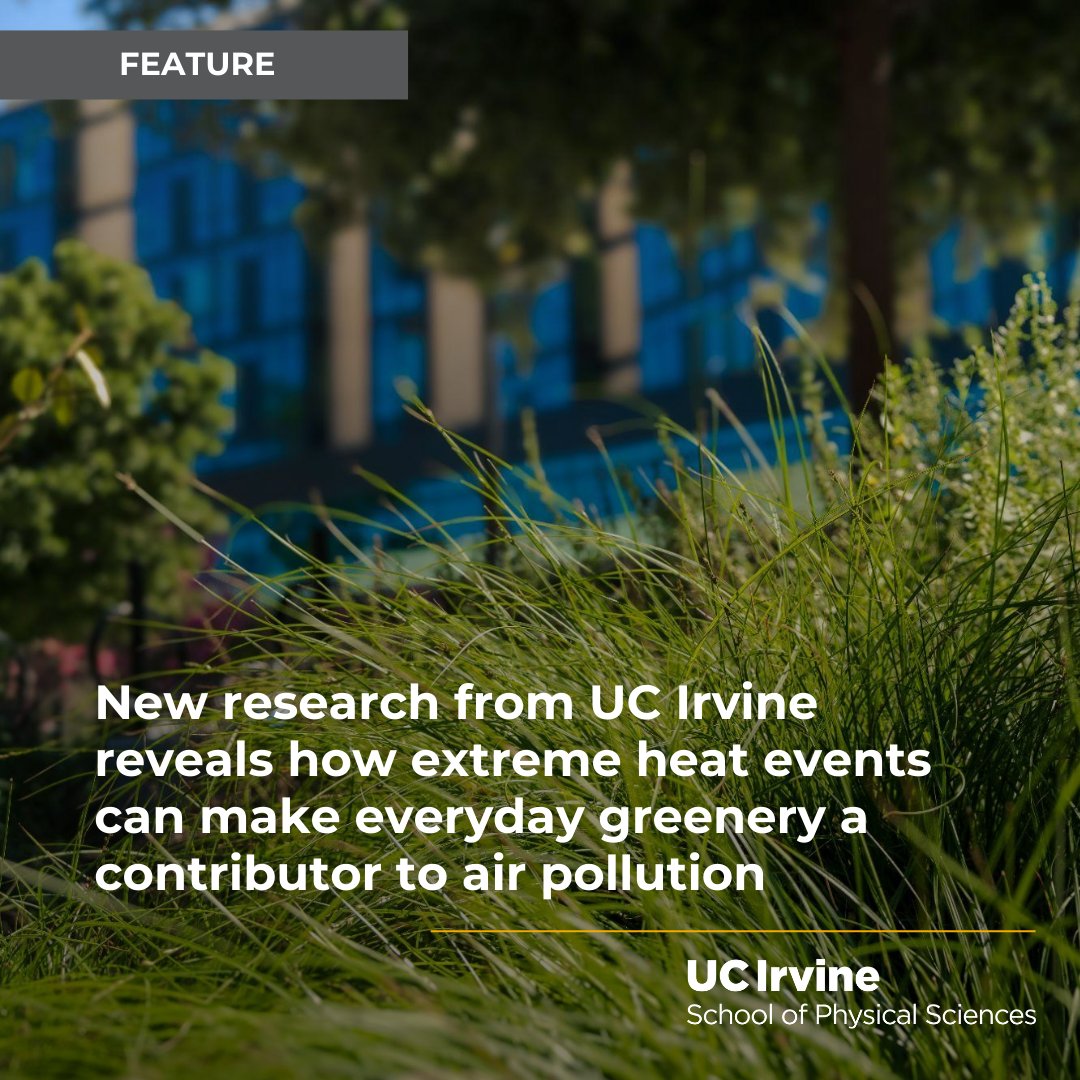 uciess's tweet image. New UC Irvine research led by Professor Alex Guenther from the Department of Earth System Science reveals how extreme heat events can make everyday greenery a hidden contributor to air pollution. Read more: ps.uci.edu/news/3258 #uciess #ucirvine #uciphysicalsciences
