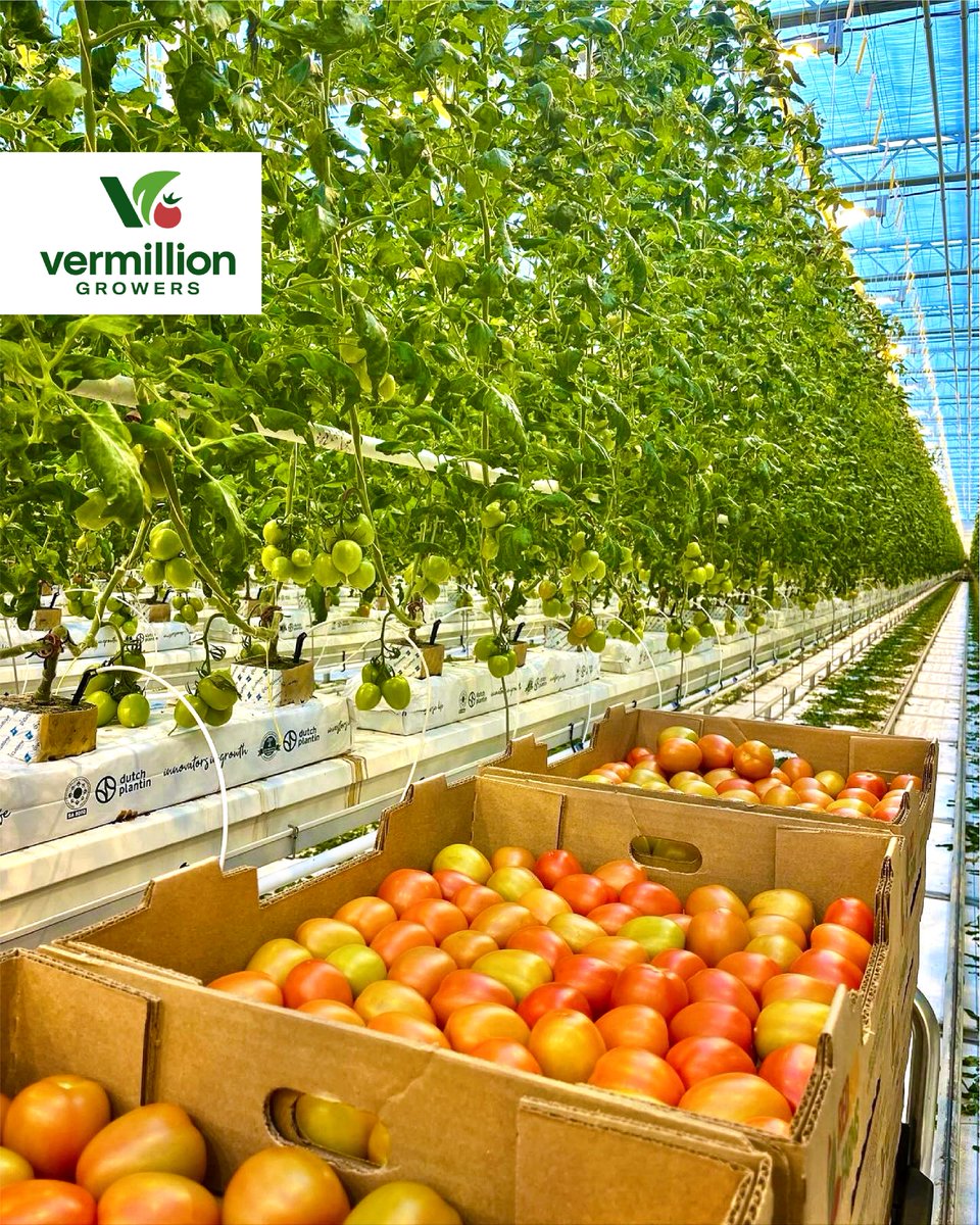 Warm welcome to the longer days! Happy to have a long January done and February is here!