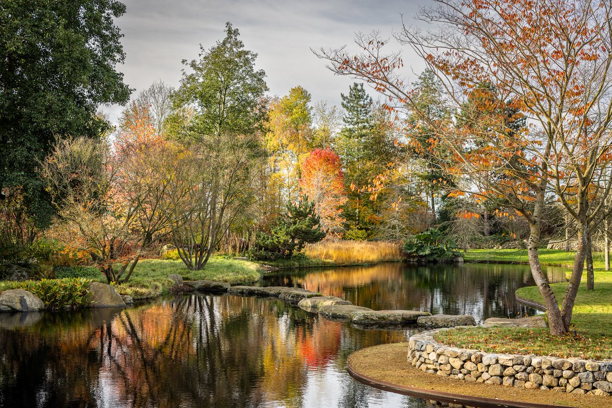 What a night for Sarah Eberle FSGD! Huge congratulations to her on winning ‘Garden of the Year’ – the biggest award of the night presented in partnership with <a href="/The_RHS/">The RHS</a>. See the breathtaking design that took the top prize sgd.org.uk