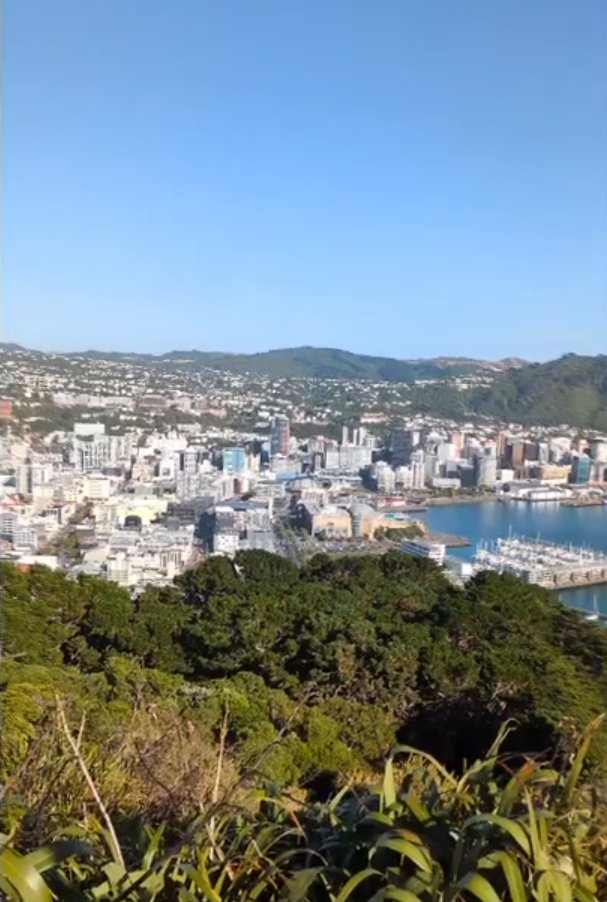 Merci encore la team pour ce first stream IRL à Wellington 🇳🇿 Une qualité de dingue, un streamer au top de sa forme, et un raid de <a href="/GobosteurTFT/">AEG Gobosteur</a> pour couronner le tout 📸
La suite le week-end prochain ? Leak ?