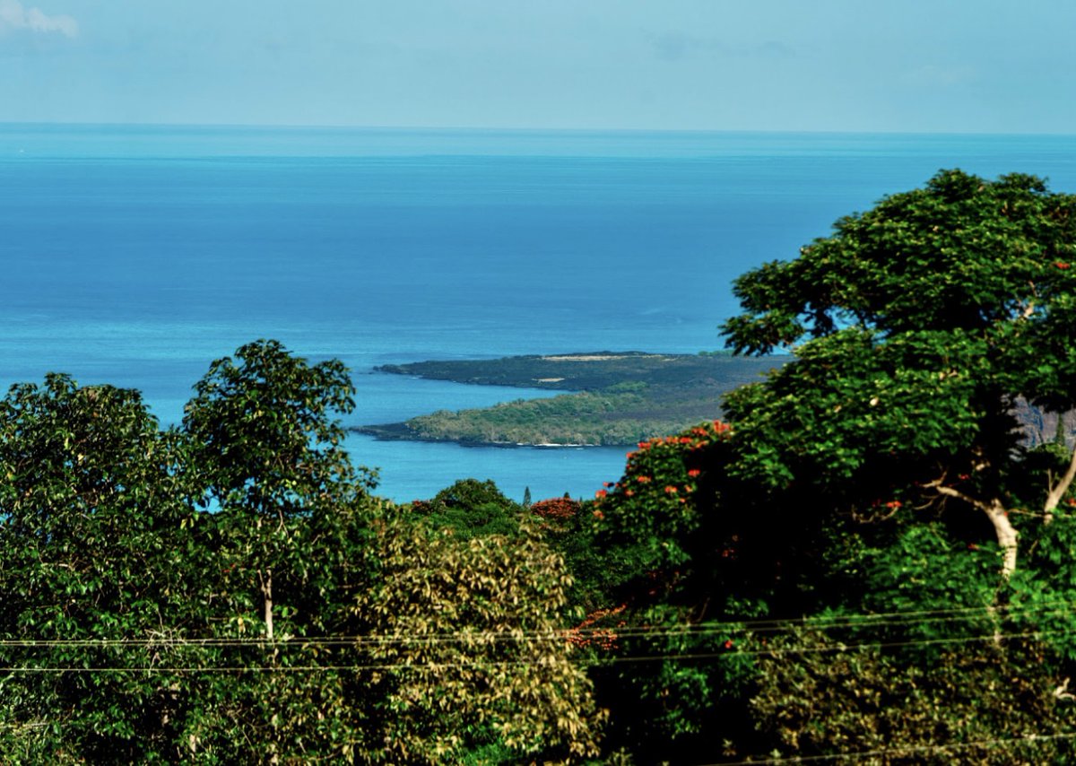 Happy Aloha Friday! 😍🤙🏽 Enjoy the stunning views from our Royal Kona Coffee Visitors Center as you sip on your favorite blend. There’s no better way to welcome the weekend than with a taste of paradise and a beautiful view. 🌴☕️ 
#AlohaFriday #RoyalKonaCoffee #IslandViews