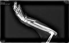 Beatriz Gutiérrez tweet media