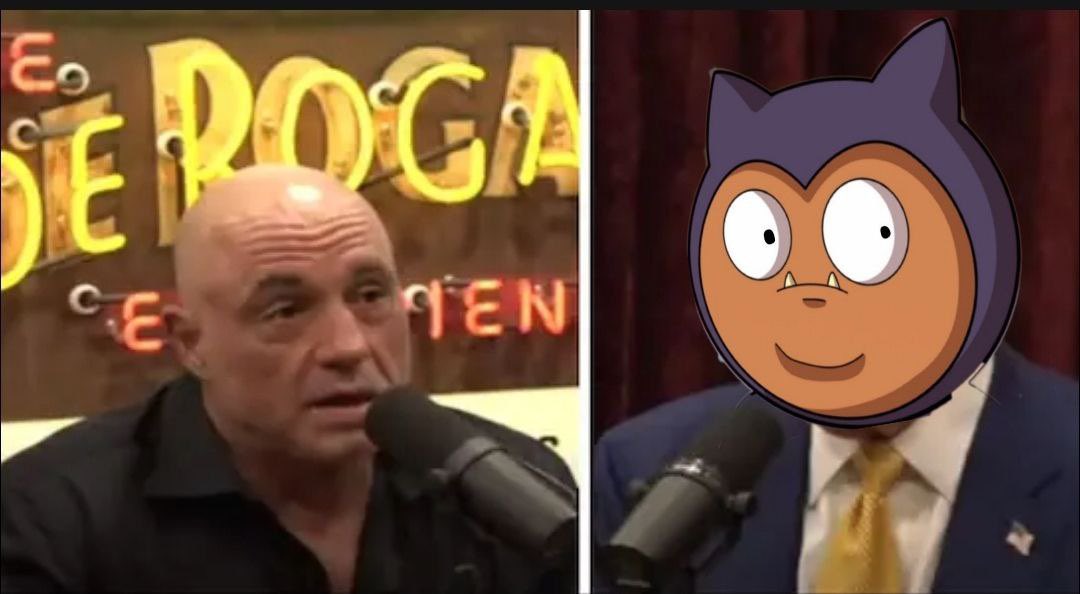 itz_jakoby's tweet image. @Snorky_btc when Joe talks to the top meme on the Bitcoin chain $Snorky on Odin.fun