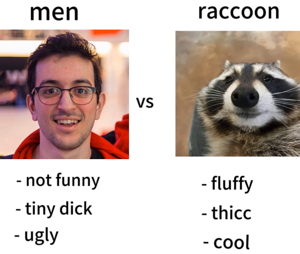 raccoon aesthetic. tweet media