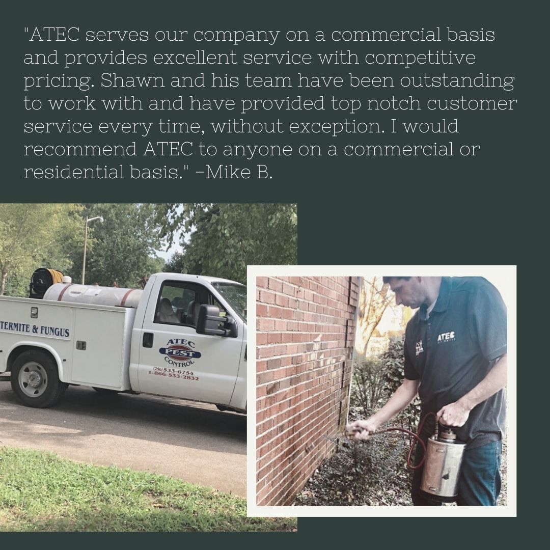 ATECPEST's tweet image. At ATEC Pest Control, our customers’ satisfaction is our top priority! We’re proud to deliver effective, professional service every time. Hear from our happy customers and see why our local community trusts us to keep their homes pest-free.
#CustomerSatisfaction #ATECPestControl