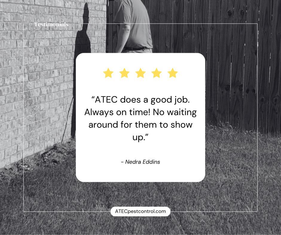 ATECPEST's tweet image. At ATEC Pest Control, our customers’ satisfaction is our top priority! We’re proud to deliver effective, professional service every time. Hear from our happy customers and see why our local community trusts us to keep their homes pest-free.
#CustomerSatisfaction #ATECPestControl