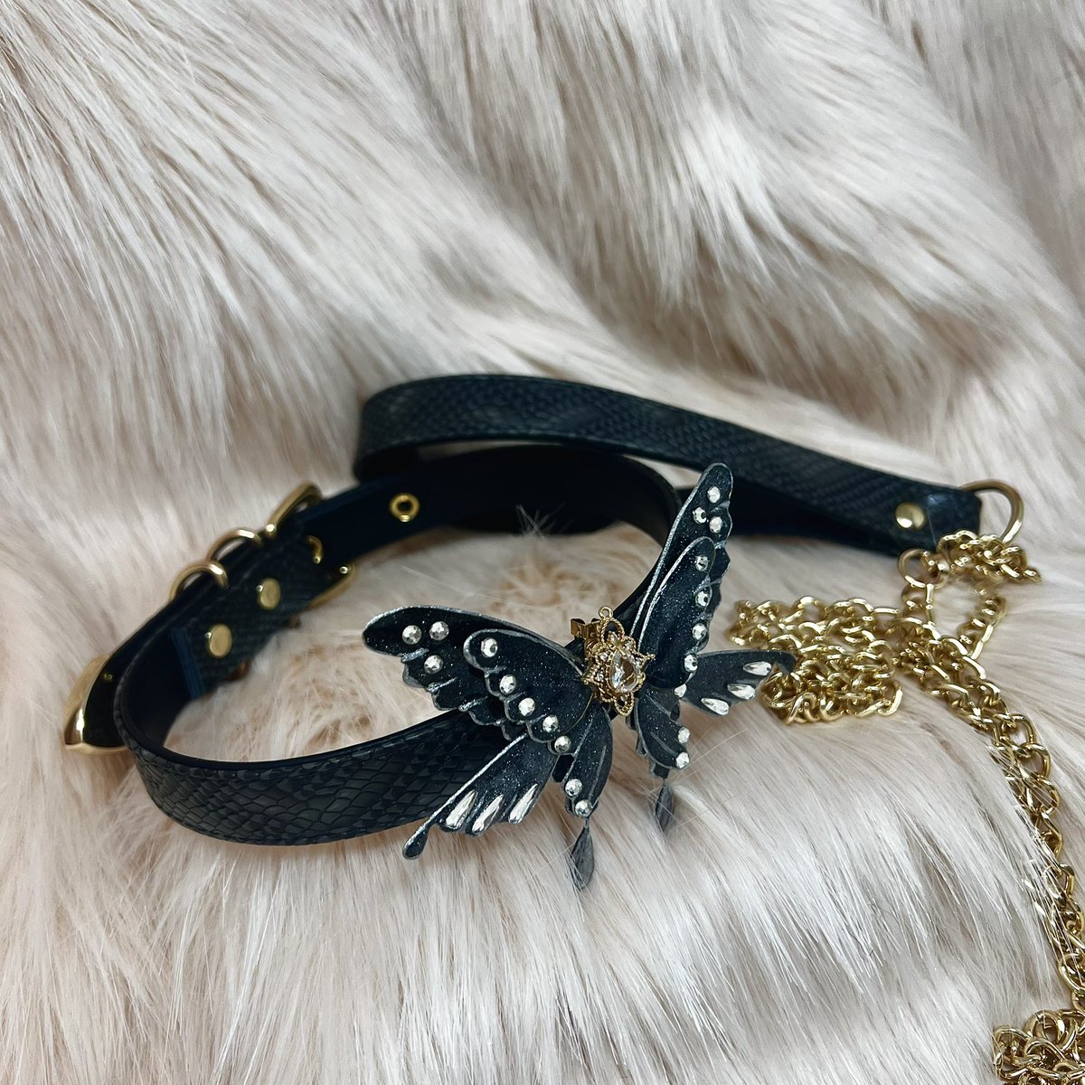 Black butterfly collar &amp; leash 🖤