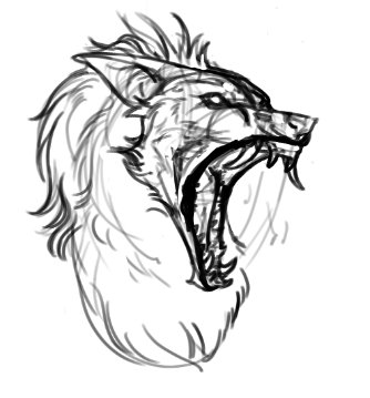 livid_k9's tweet photo. Recent sketches
#Werewolf #art #digitalart https://t.co/UfUR9iKSou