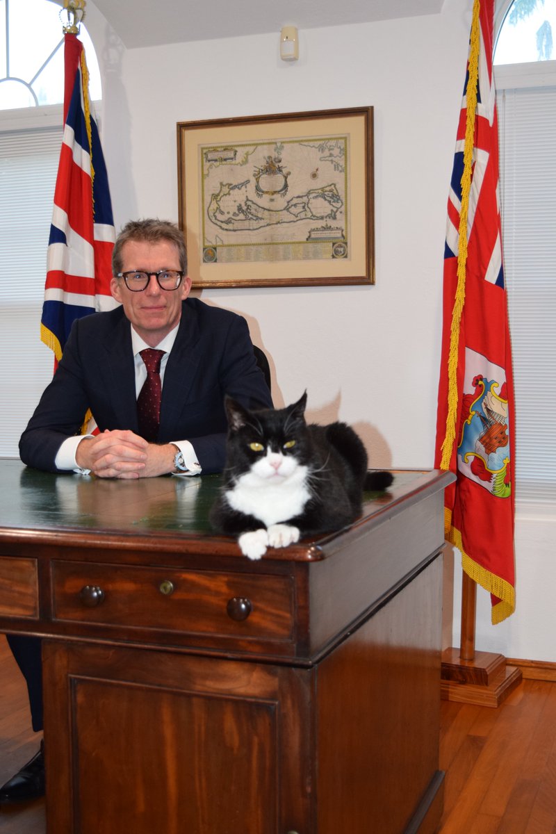 DiploMog's tweet image. Watch this space for regular feline consulting updates from Bermuda in the weeks to come @number10cat @theroyalgazette @independent @NPR @nytimes @AP @thedailybeast @msn