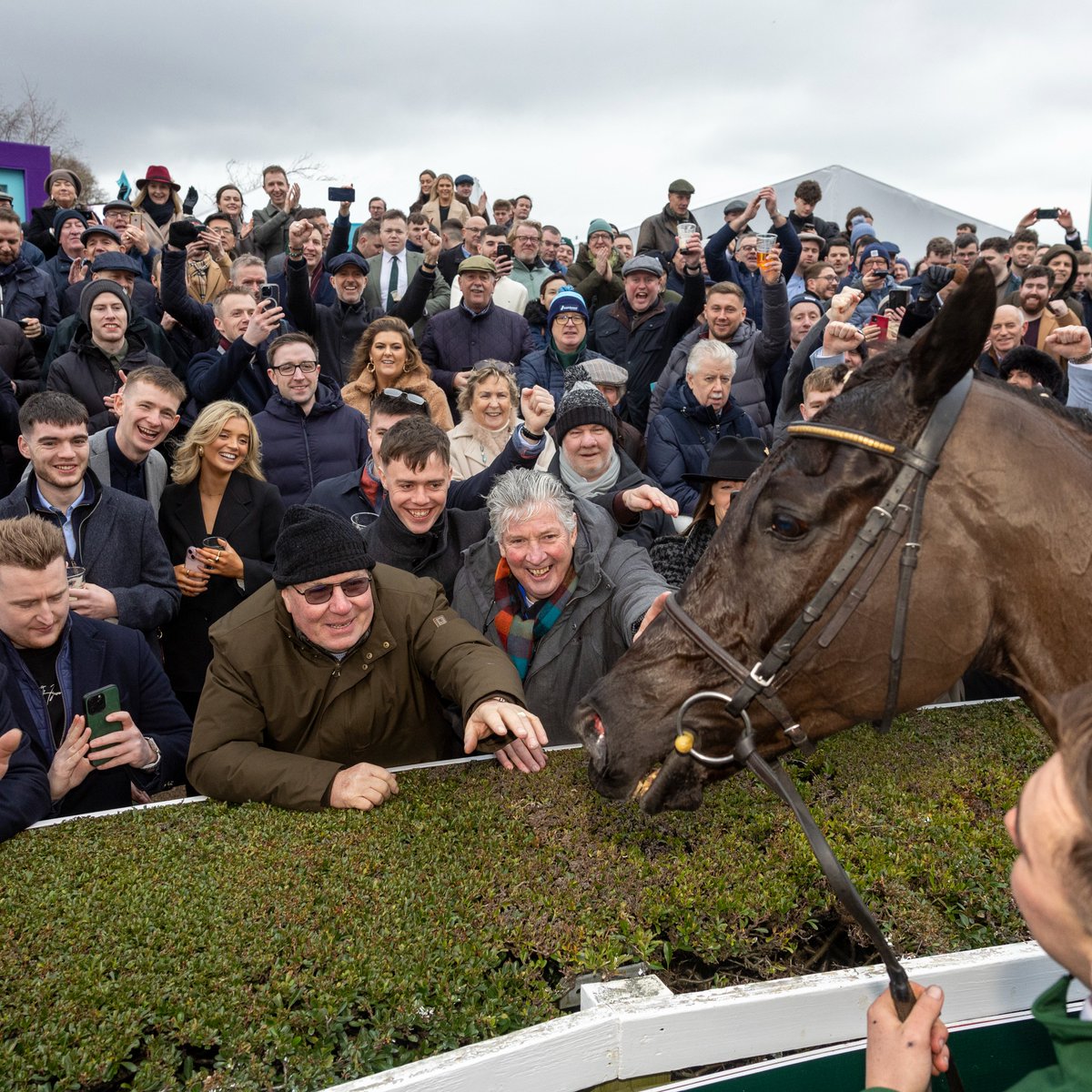 Racing Post tweet media