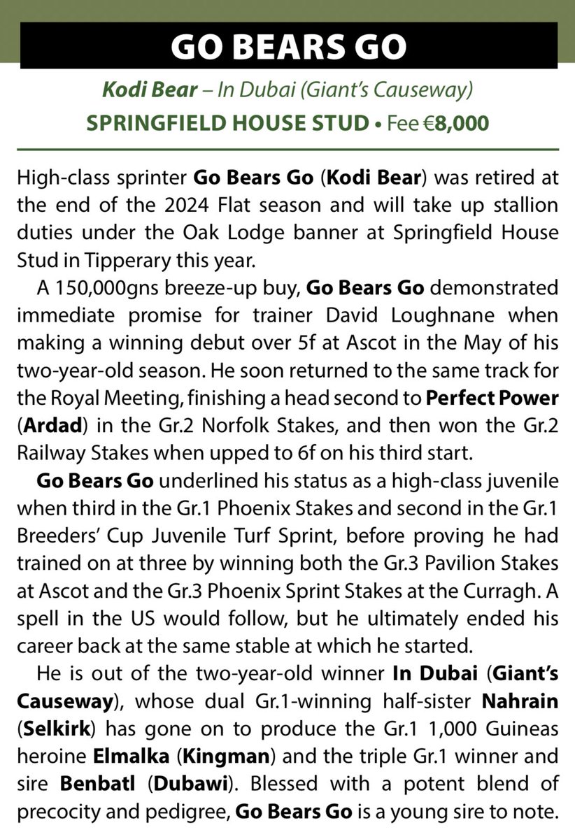 EBN (@bloodstocknews) on Twitter photo Don’t miss out on GO BEARS GO 🐻- NEW for 2025 <a href="/oaklodgestud/">OakLodge&Springfield</a> 💥
Champion Sprinter ✅
Group winner at 2 and 3 ✅
Sound bloodlines of Kodiac and Giant’s Causeway ✅
Fee: €8,000 - find out more 👇
oaklodgestud.com/stallions Don’t miss out on GO BEARS GO 🐻- NEW for 2025 <a href="/oaklodgestud/">OakLodge&Springfield</a> 💥
Champion Sprinter ✅
Group winner at 2 and 3 ✅
Sound bloodlines of Kodiac and Giant’s Causeway ✅
Fee: €8,000 - find out more 👇
oaklodgestud.com/stallions