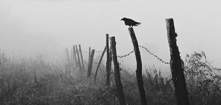"Kalbi güzel olanın gönlü hep yorgun olurmuş."