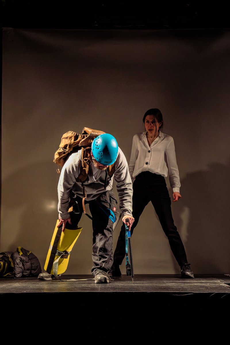 Wild Bears Photography tweet media