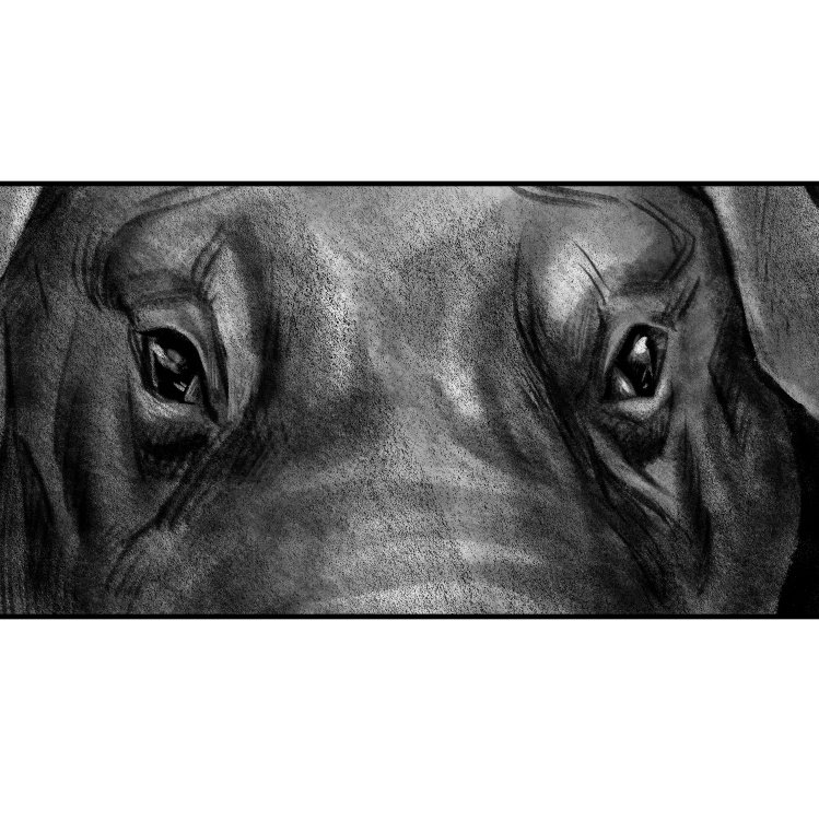 raincoatny's tweet photo. face each other
by raincoat
#digitalart 
#digitaldrawing 

#pig #eyes #drawing #pencil #painting #sketch #illustration #artworks
#드로잉 #스케치 #일러스트 #그림
#dessin #esquisse #croquis
#スケッチ #イラスト https://t.co/0S62KtCvvF