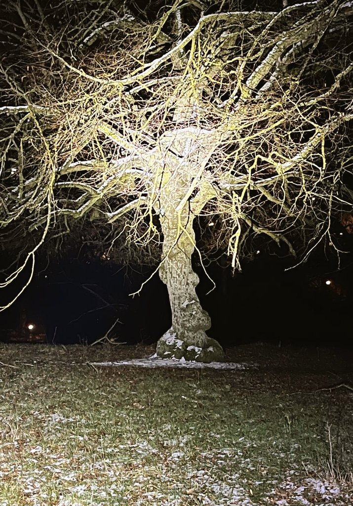 Scharfzaehnchen's tweet image. Wir haben ihn wohl bei seiner Nachtruhe gestört 😕☹️ #MrGrumpy