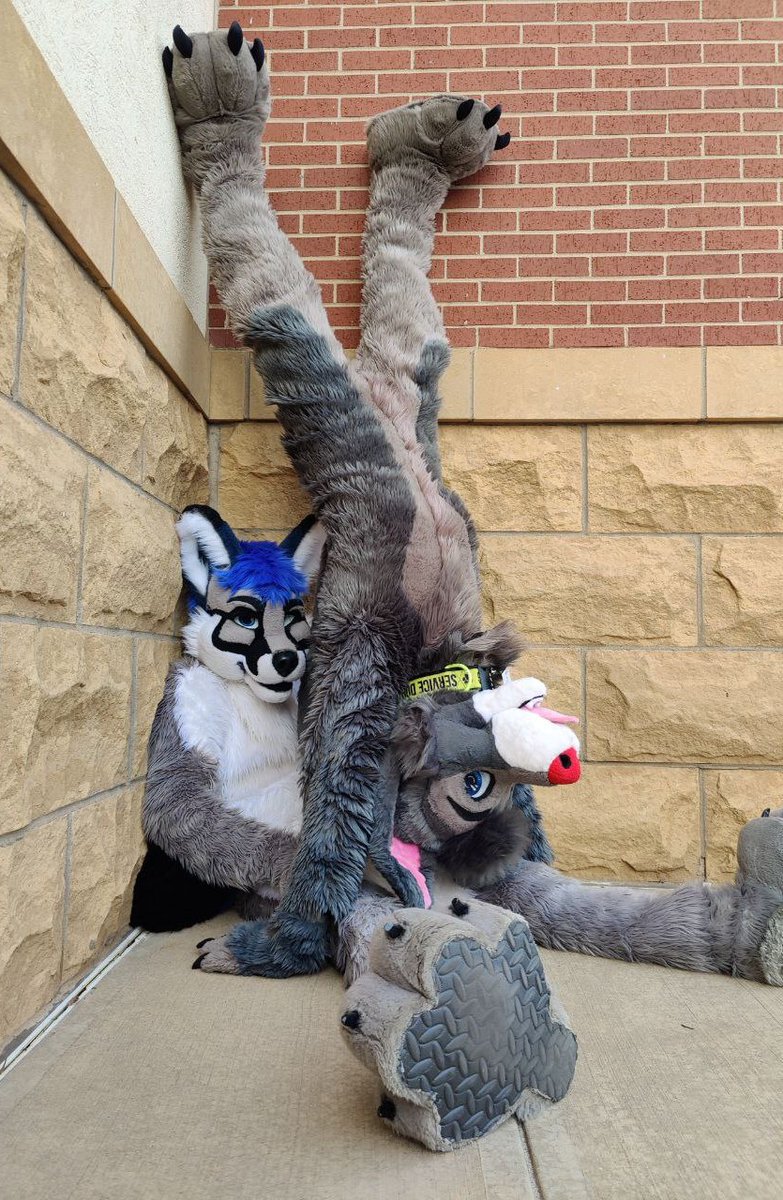 cain ➡️ BSky (@caincanine) on Twitter photo ƃop pɹɐnƃ & fox
🦊 medsfox.us (bsky)
AnthroExpo 2025
🪡 <a href="/TheKarelia/">TheKareliaFursuits 🔜 EF29, Furnavia.</a> & <a href="/FursuitParade/">Fursuit Parade</a>
#FursuitFriday #AnEx #AnthroExpo ƃop pɹɐnƃ & fox
🦊 medsfox.us (bsky)
AnthroExpo 2025
🪡 <a href="/TheKarelia/">TheKareliaFursuits 🔜 EF29, Furnavia.</a> & <a href="/FursuitParade/">Fursuit Parade</a>
#FursuitFriday #AnEx #AnthroExpo