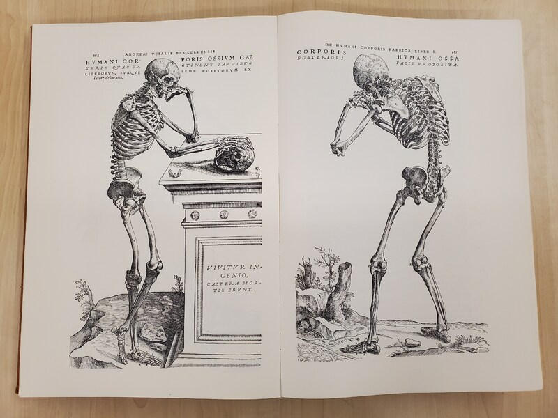 Visit our new Digital Exhibits &amp; Collections site to explore digitized items from our rare books and special collections, such as this facsimile.
Pictured: De Humani Corporis Fabrica is an anatomical atlas originally created by Andreas Vesalius in 1543.
bit.ly/HSLS-Digital-E…